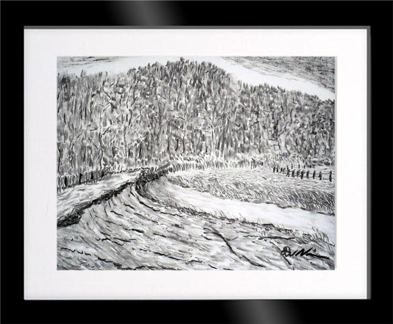 Dirk Nienemann, Künstler Holzkohlezeichnungen, Lehrte Hannover, Drucke Holzkohlezeichnungen,Abstrakte, Landschaft, Stillleben